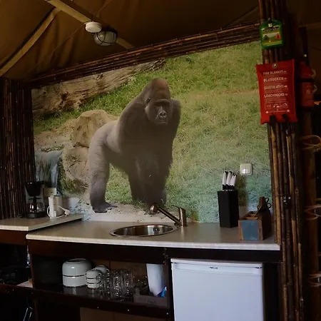 Neushoorn En Gorilla Роскошный шатер