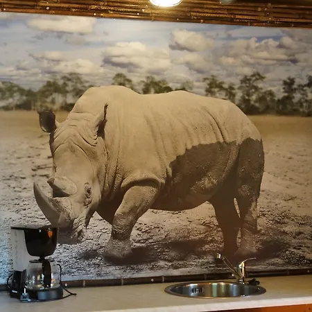 Neushoorn En Gorilla *