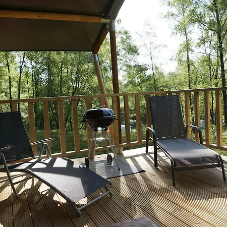 Neushoorn En Gorilla Wilsum